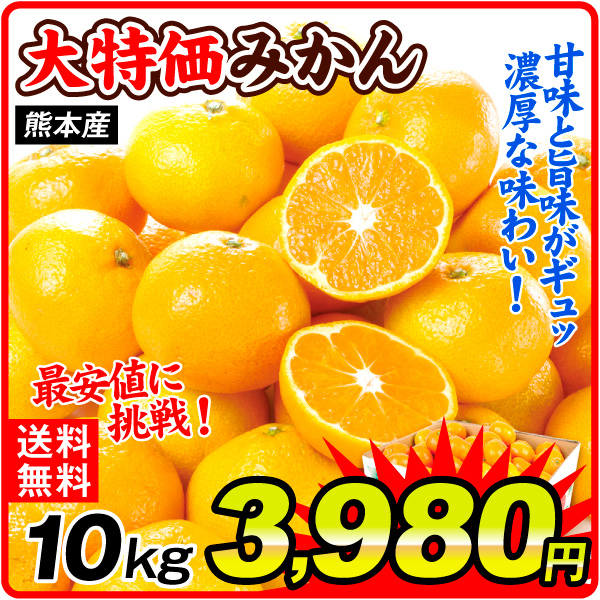 【2025年1月より発送】 みかん 10kg 大特価 熊本産 蜜柑 柑橘 温州 フルーツ 果物 送料無料 食品