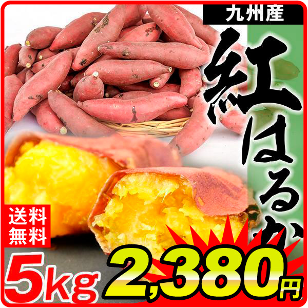 【2025年1月発送】さつまいも 5kg 紅はるか 九州産 訳あり 送料無料 食品