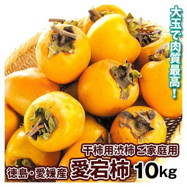 かき 10kg 愛宕柿 【干柿用渋柿】 徳島・愛媛産 ご家庭用 送料無料 食品