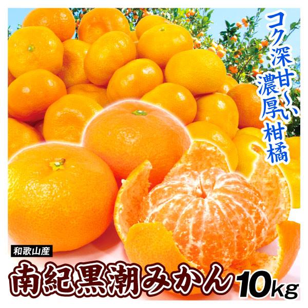 みかん 10kg 南紀黒潮みかん 和歌山産 送料無料 食品