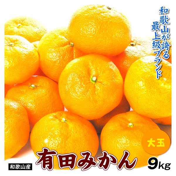 みかん 9kg 有田大玉みかん 和歌山産 送料無料 食品
