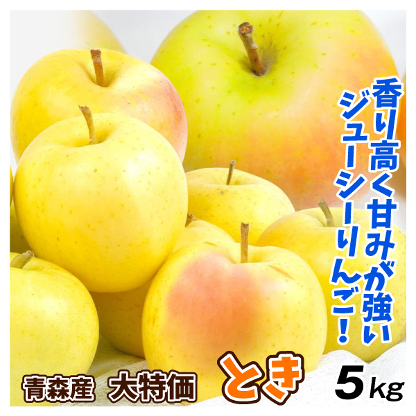りんご 5kg 青森産 大特価 とき （12～25玉） ご家庭用 希少品種 トキ 送料無料 林檎 フルーツ食品 国華園