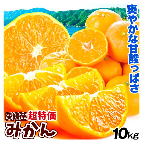 みかん 10kg 超特価 愛媛産 早生 温州みかん ネット限定 送料無料 食品