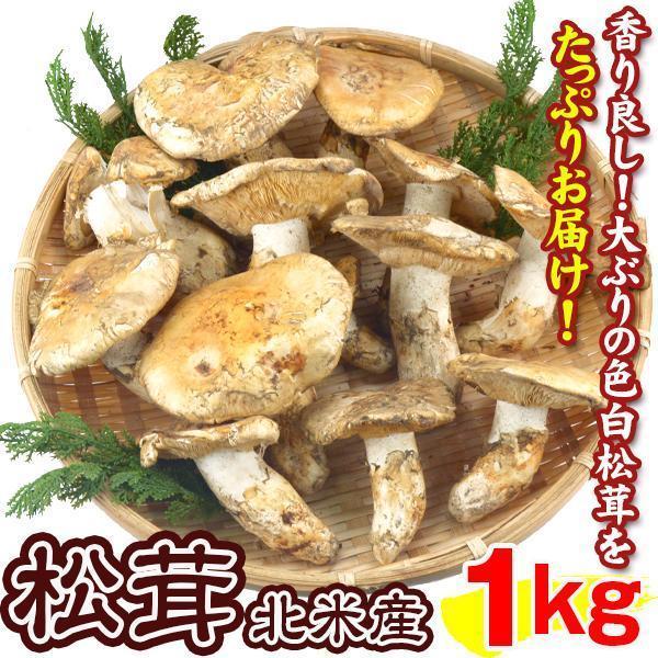 松茸 1kg 北米産 まつたけ カナダ・アメリカ産 ご家庭用 送料無料 食品