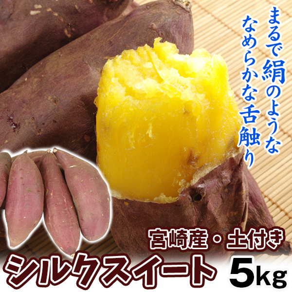 【2025年1月発送】さつまいも 5kg シルクスイート 土付き 宮崎産 送料無料 食品