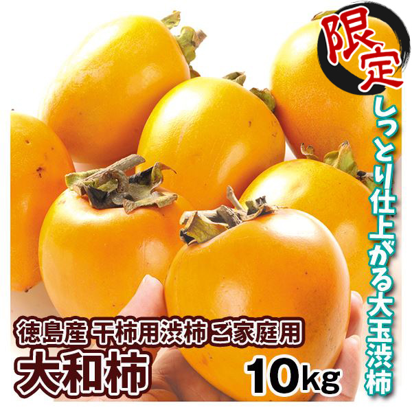 【ネット限定】柿 10kg 大和柿 【干柿用渋柿】 徳島産 送料無料 食品