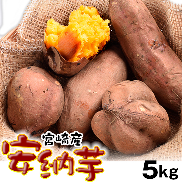 【2025年1月発送】さつまいも 5kg 安納芋 土付き 宮崎産 送料無料 食品