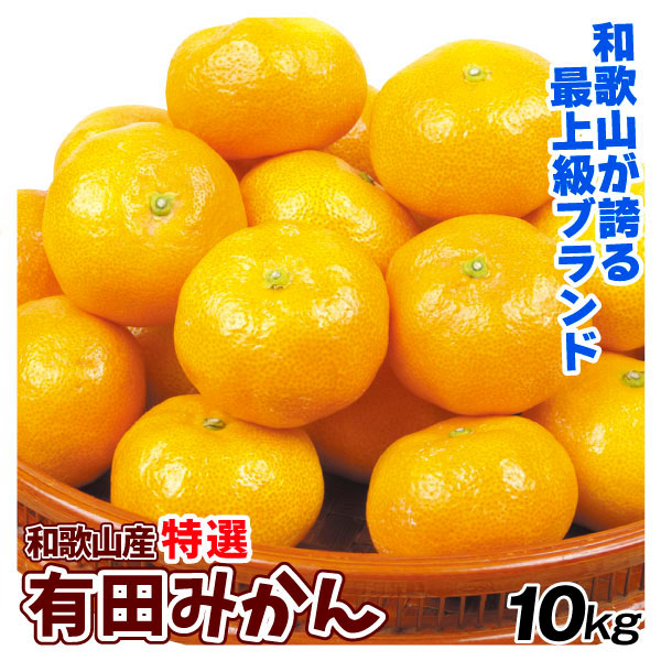 みかん 10kg 特選有田みかん 和歌山産 数量限定 送料無料 食品