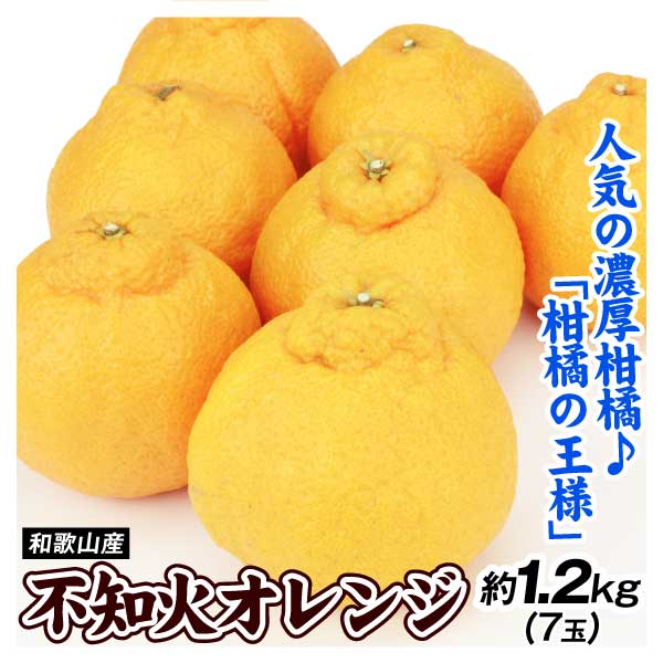 みかん 不知火オレンジ 和歌山産 7玉 (約1.2kg) 数量限定 送料無料 食品