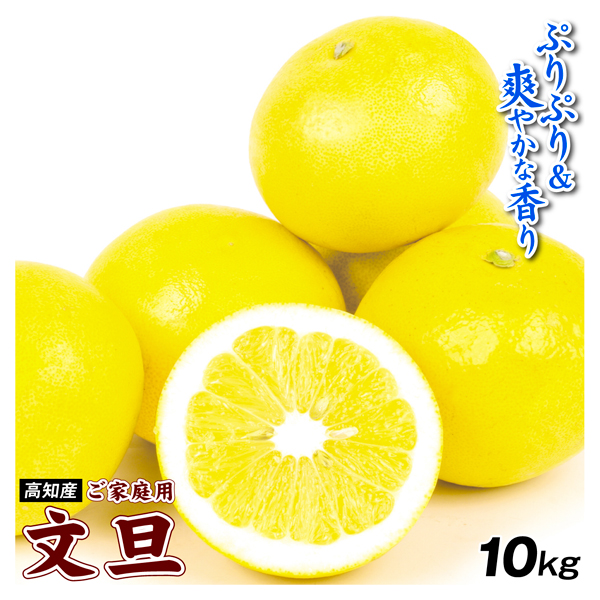 みかん 10kg 文旦 高知産 ご家庭用 ぶんたん 送料無料 食品