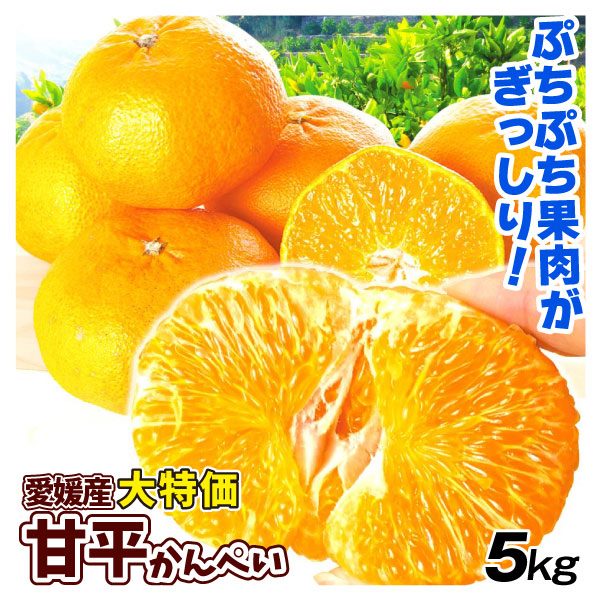 みかん 5kg 甘平 愛媛産 大特価 ご家庭用 数量限定 送料無料 食品