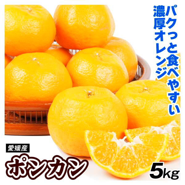 みかん 5kg ポンカン 愛媛産 ご家庭用 送料無料 食品