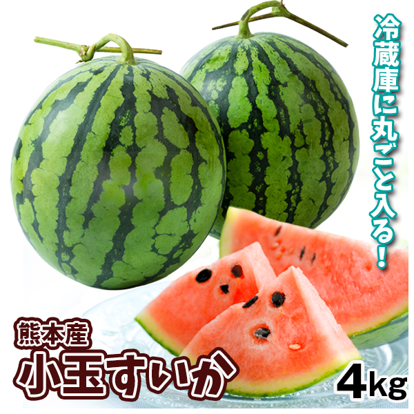 小玉すいか 約4kg（3～5玉）熊本産 送料無料 食品