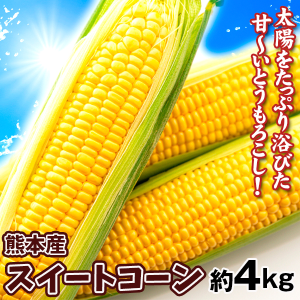 スイートコーン 熊本産 とうもろこし 約4kg（10～12本） 送料無料 食品 冷蔵便