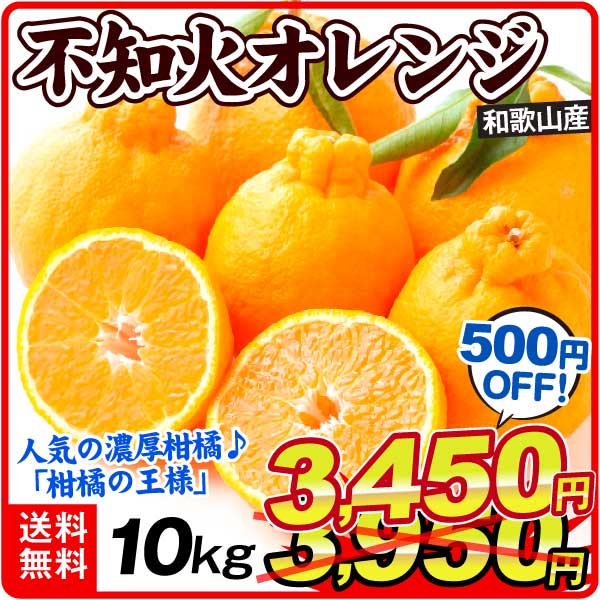 みかん 和歌山産 不知火オレンジ 10kg ご家庭用 数量限定 送料無料 食品