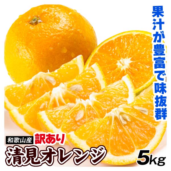 みかん 和歌山産 清見オレンジ 5kg 訳あり ご家庭用 数量限定 送料無料 食品