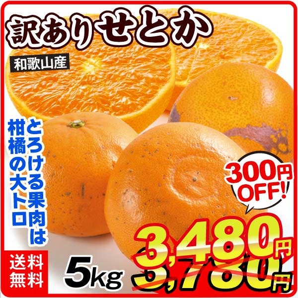 みかん 和歌山産 せとか 5kg  訳あり ご家庭用 数量限定 送料無料 食品