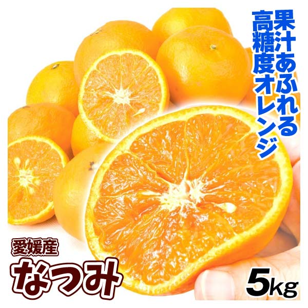 みかん なつみ 5kg 愛媛産 ご家庭用  送料無料 食品