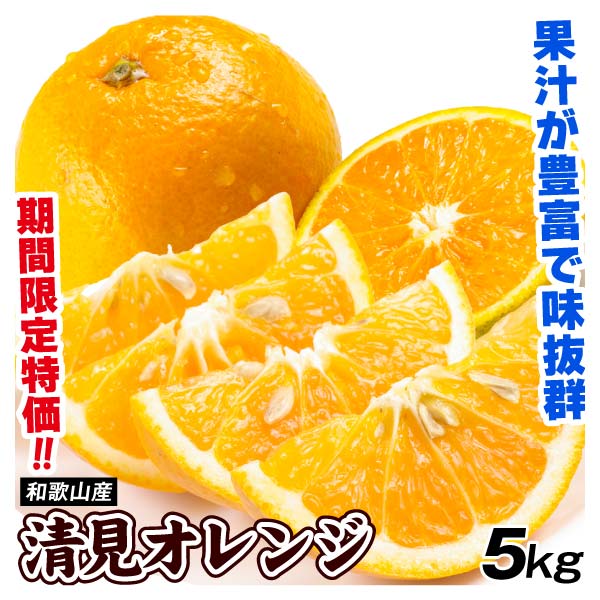 みかん 和歌山産 清見オレンジ 5kg ご家庭用 限定特価 送料無料 食品