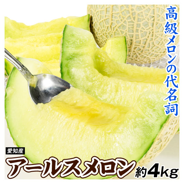 メロン 愛知産 アールスメロン 約4kg ご家庭用 送料無料 食品
