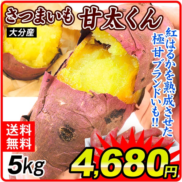さつまいも 5kg 甘太くん 大分産 送料無料 食品