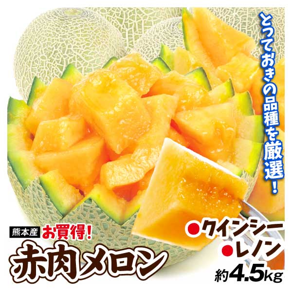 メロン 熊本産 クインシー レノン メロン 約4.5kg 赤肉 ご家庭用 1品種 送料無料 食品