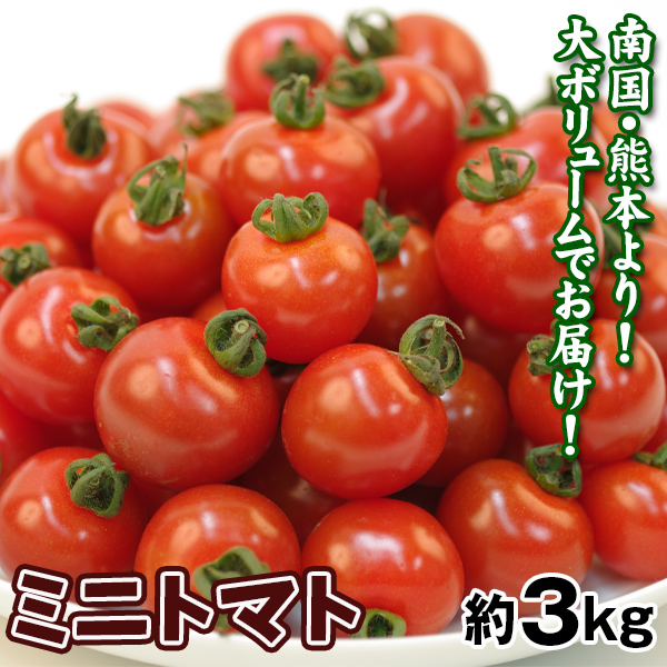 ミニトマト 約3kg 熊本産 大容量 トマト 送料無料 食品