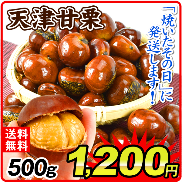 甘栗 天津甘栗 500g くり マロン 栗 焼きたて 無添加 殻付き スイーツ お菓子 送料無料 常温 ポスト投函 加工品 食品