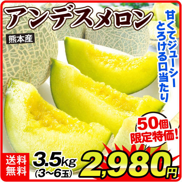 メロン 熊本産 ご家庭用 アンデスメロン 約3.5kg 数量限定 送料無料 食品