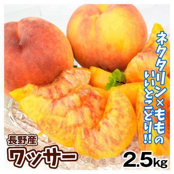 もも 2.5kg ワッサー 長野産 果物 フルーツ 青果 送料無料 食品
