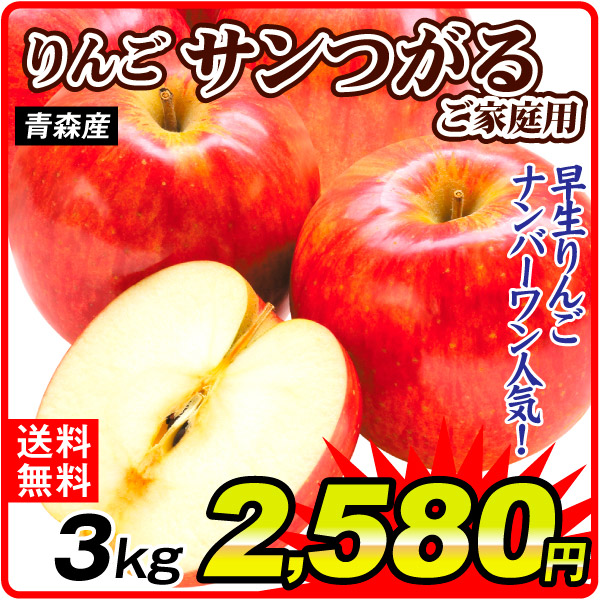 りんご 3kg サンつがる 青森産 ご家庭用 津軽 送料無料 林檎 フルーツ 食品 国華園