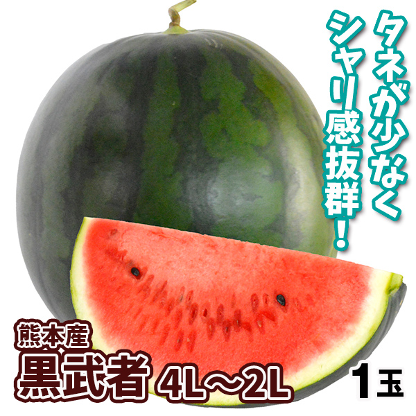 すいか 黒武者 熊本産 1玉 4L〜2L 送料無料 食品