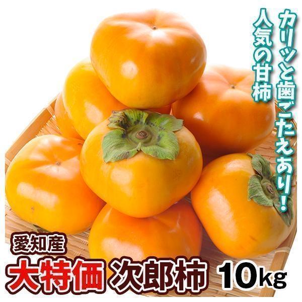 柿 約10kg 次郎柿 愛知産 甘柿 ご家庭用 人気品種 送料無料 食品