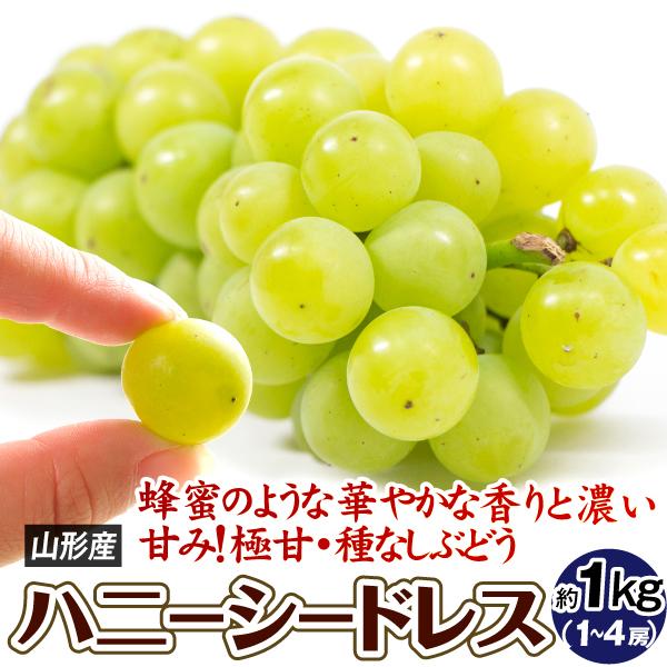 ぶどう 約1kg ハニーシードレス 山形産 種なし ブドウ はちみつぶどう 送料無料 食品