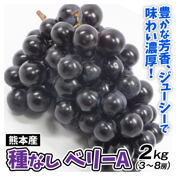 ぶどう 2kg （3～8房） 種なしベリーＡ 熊本産 ニューベリーA 送料無料 冷蔵便 食品