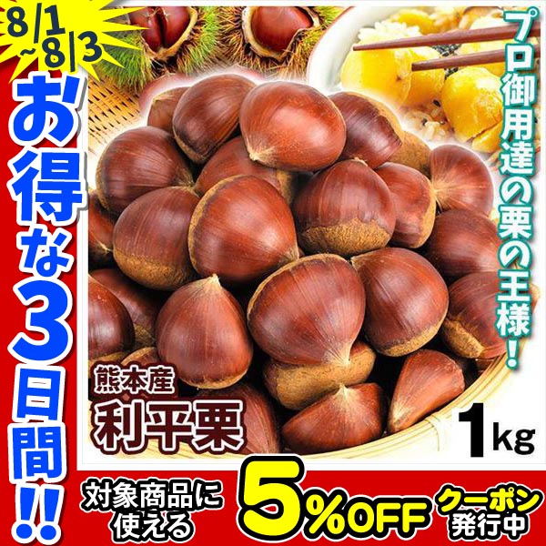 栗 1kg 利平栗 熊本産 常温便 サイズ無選別 送料無料 食品