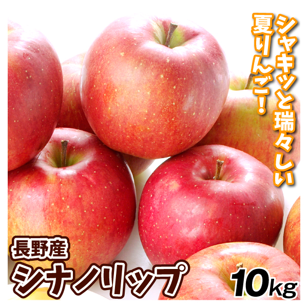 りんご 長野産 シナノリップ 10kg 送料無料 食品