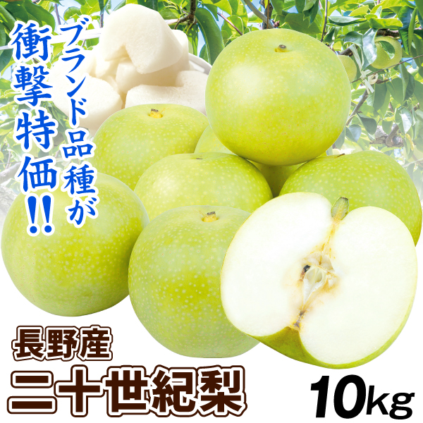 梨 10kg 二十世紀梨 長野産 ご家庭用 青梨 名産地 送料無料 食品