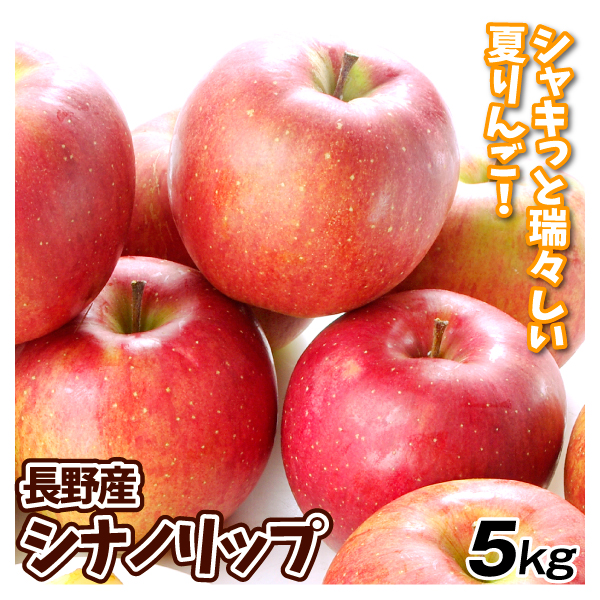 りんご 長野産 シナノリップ 5kg 林檎 果物 送料無料 食品