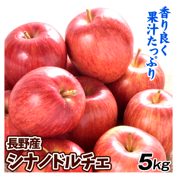 りんご 長野産 シナノドルチェ 5kg ご家庭用 林檎 果物 送料無料 食品
