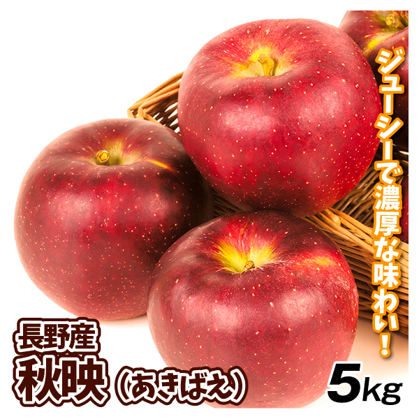 りんご 長野産 秋映 5kg ご家庭用 林檎 果物 送料無料 食品