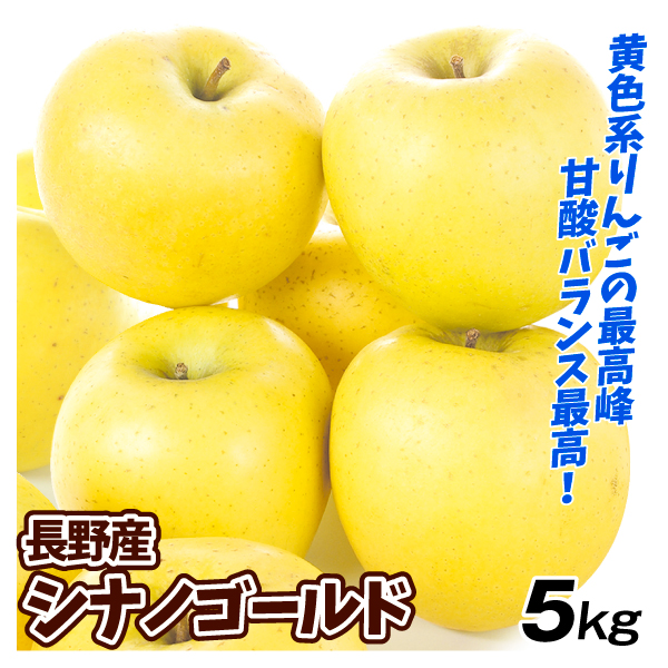 りんご 長野産 シナノゴールド 5kg ご家庭用 林檎 果物 送料無料 食品