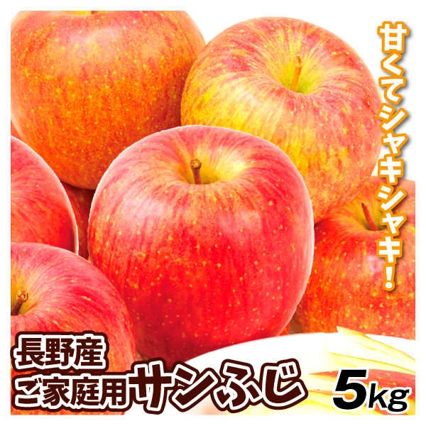 りんご 長野産 ご家庭用 サンふじ 5kg 林檎 果物 送料無料 食品