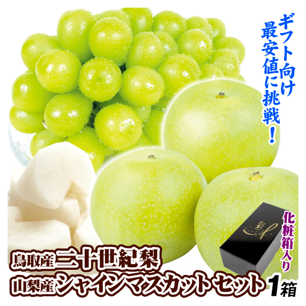 果物セット 鳥取産 二十世紀梨＆山梨産 シャインマスカット セット 梨 ぶどう 詰め合わせ ギフト フルーツ 送料無料 食品