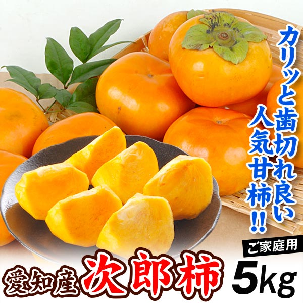 柿 約5kg 次郎柿 愛知産 甘柿 ご家庭用 人気品種 送料無料 食品