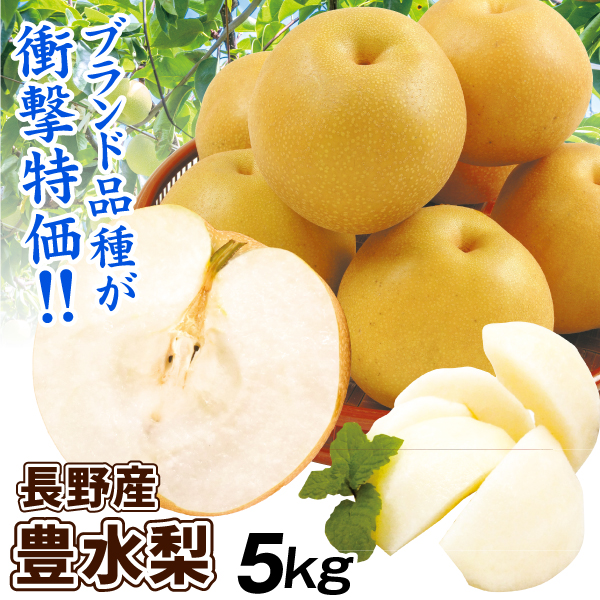 梨 5kg 豊水梨 長野産 ご家庭用 ナシ なし 和梨 名産地 送料無料 食品