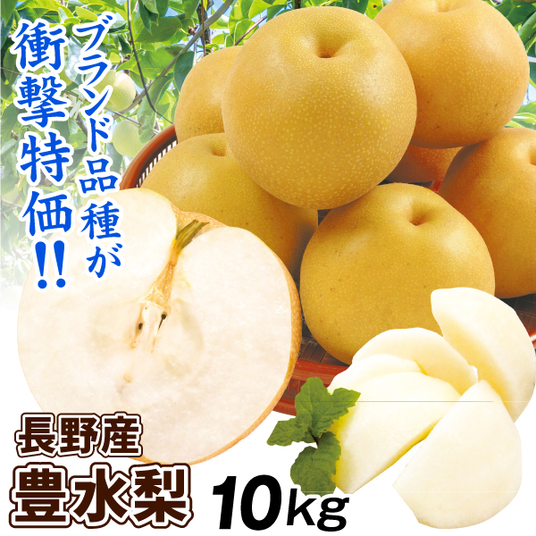 梨 10kg 豊水梨 長野産 ご家庭用 ナシ なし 和梨 名産地 送料無料 食品