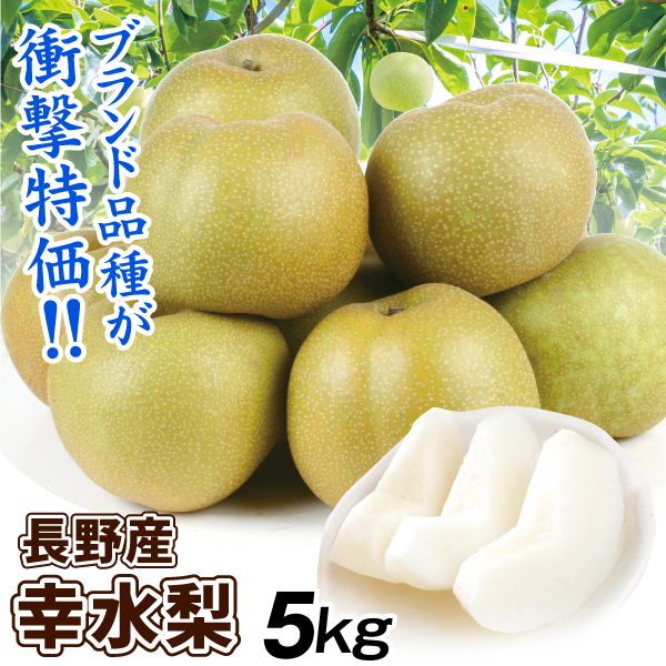 梨 5kg 幸水梨 長野産 ご家庭用 ナシ なし 和梨 名産地 送料無料 食品