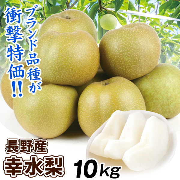 梨 10kg 幸水梨 長野産 ご家庭用 ナシ なし 和梨 名産地 送料無料 食品