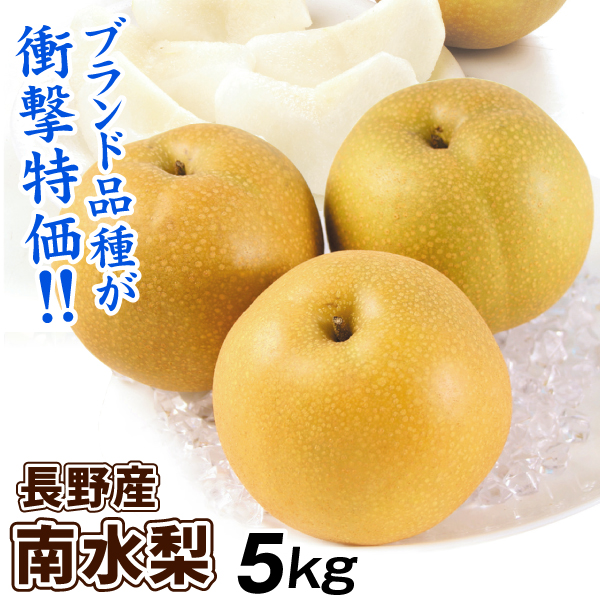 梨 5kg 南水梨 長野産 ご家庭用 ナシ なし 赤梨 和梨 名産地 送料無料 食品